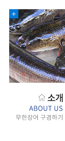 무한장어 영도점  소개